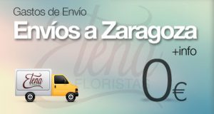 Envíos a Zaragoza