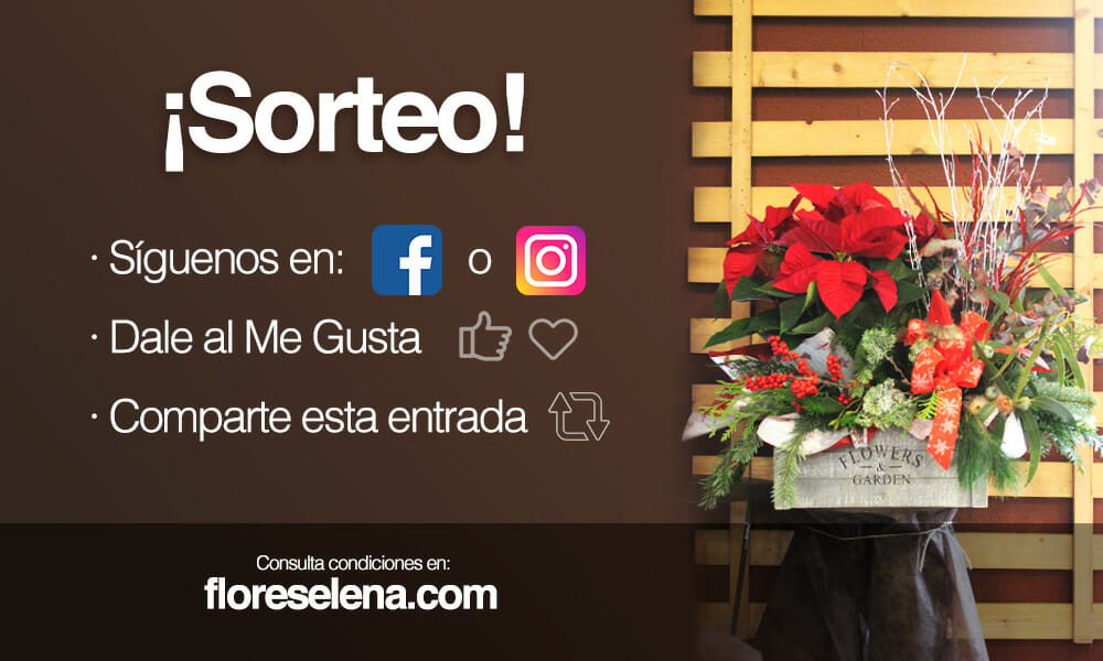 Sorteo Navidad 2020