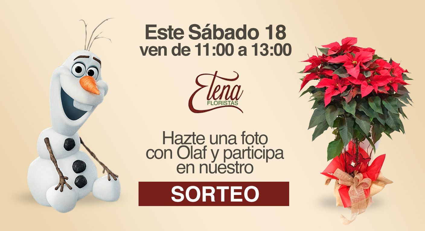 sorteo-navidad-flores-elena