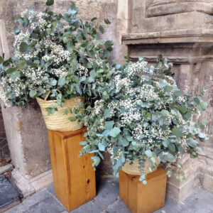 Columna y capazos de mimbre con eucalipto y eucalipto